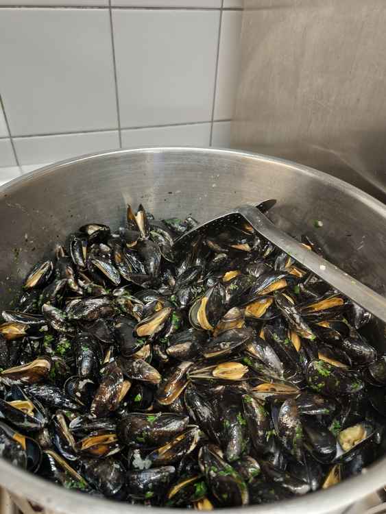 Moules M